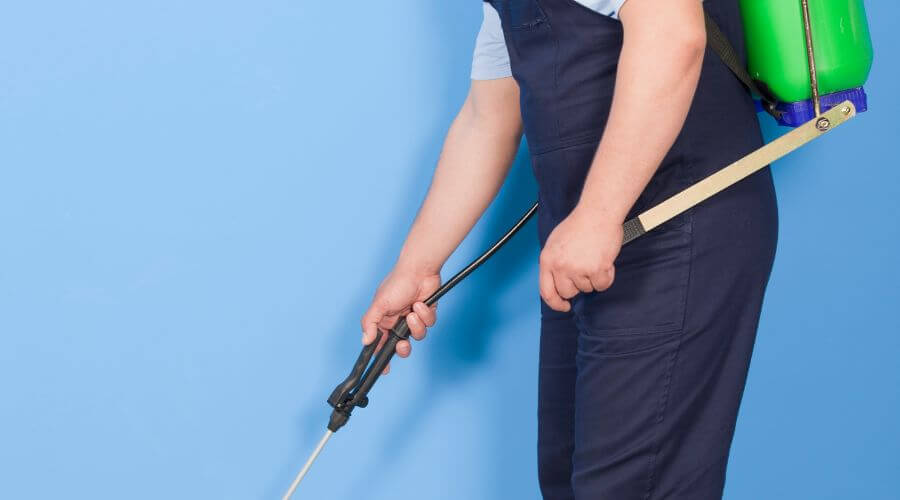 Why choose Roach Control Ivie Manor for roach control in Ivie Manor